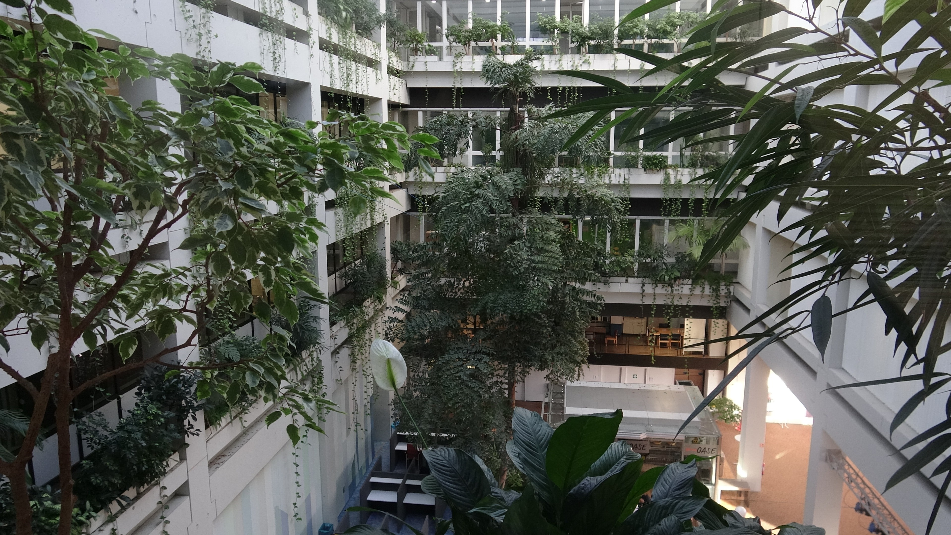 1741942342180377.jpg DSC00519.JPG