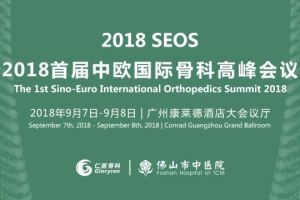 A Preview of the Summit  -  A Grand Gathering of Noble Orthopedic Experts