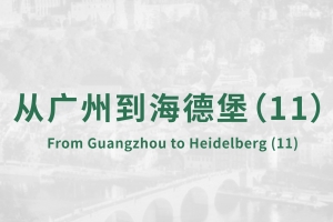 From Guangzhou to Heidelberg(11)